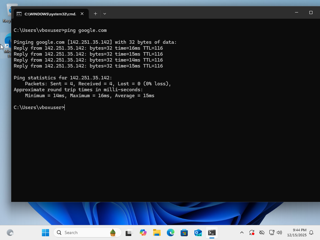 Ping external IP successful